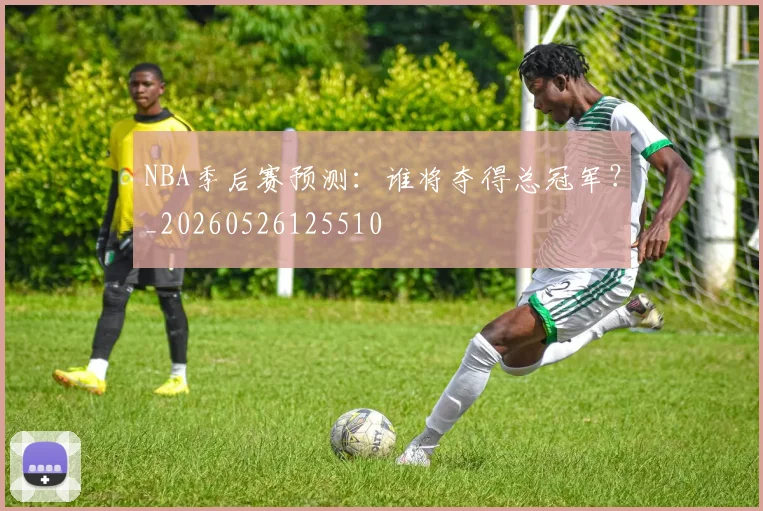 NBA季后赛预测：谁将夺得总冠军？_20260526125510