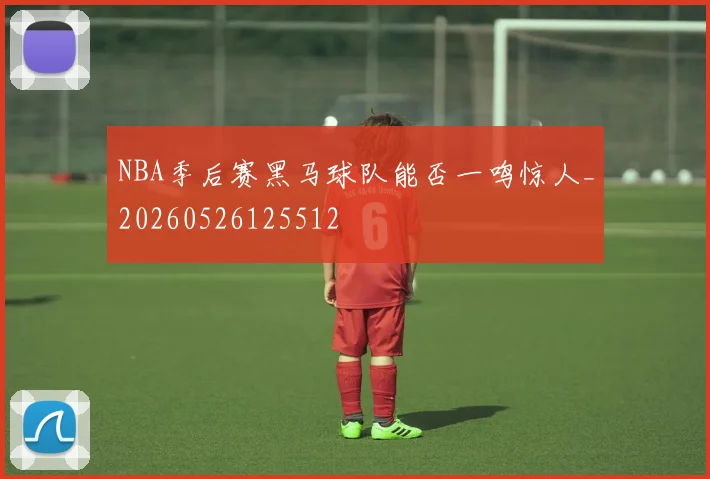 NBA季后赛黑马球队能否一鸣惊人_20260526125512